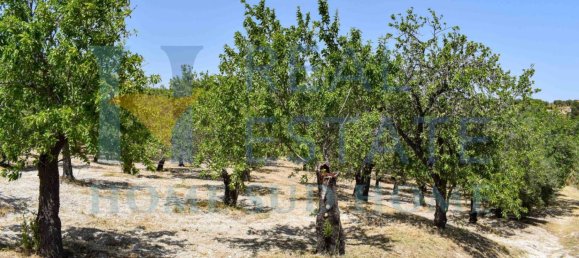 Земельный участок 30000м² в Ното, Италия № 83605 33