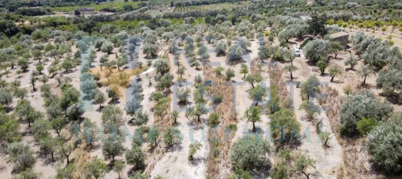 Земельный участок 30000м² в Ното, Италия № 83605 15