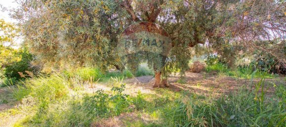 4 Schlafzimmer Villa in Syracuse, Italy, Nr. 374865 2