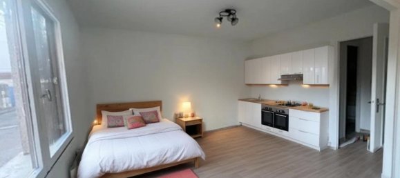 Apartamento de 1 dormitorio en Romans-sur-Isere, France No. 202527 9