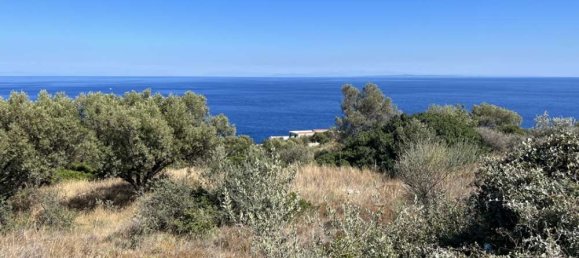قطعة أرض في Zakynthos, Greece رقم 530 5