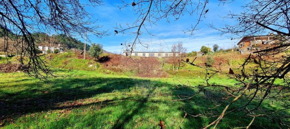 9 غرف نوم منزل في Rio Caldo, Portugal رقم 31978 43