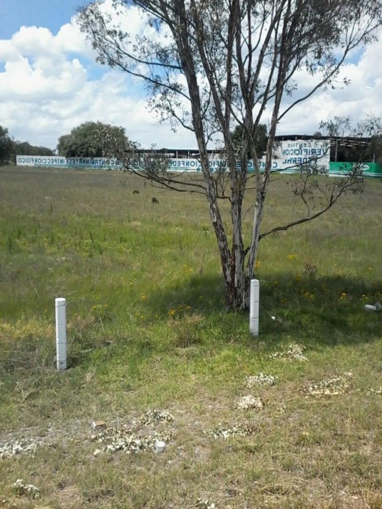 Terrain à Polotitlan, Mexico No. 203498