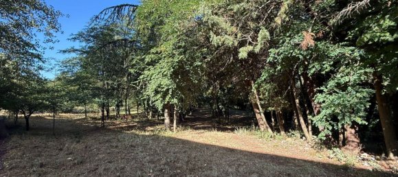 3غرفة منزل في Colliano, Italy رقم 270966 9