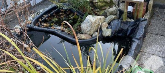 3 غرف نوم منزل في Rohrbach an der Lafnitz, Austria رقم 108823 32