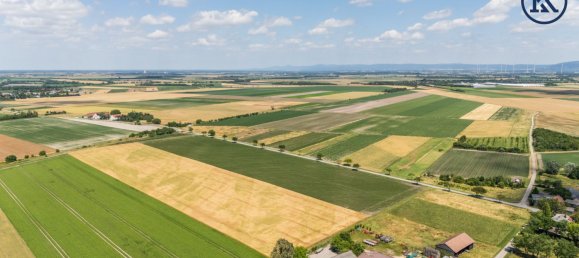 Gewerbliche Immobilie in Haringsee, Austria 550m², Nr. 129932 39