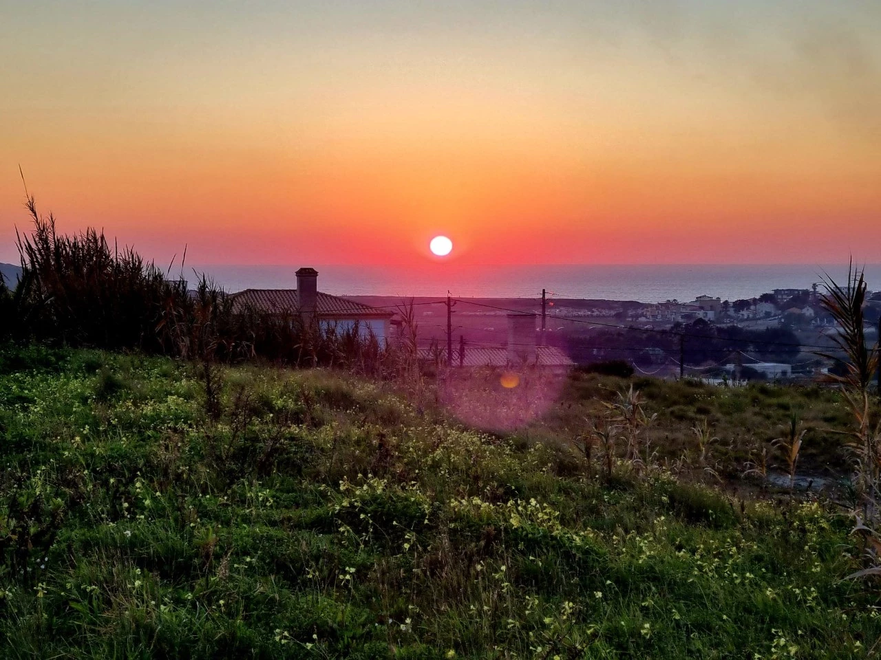 Terreno en Lourinha, Portugal No. 191497