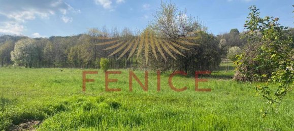 8695m² Land in Giavera del Montello, Italy No. 323470 7