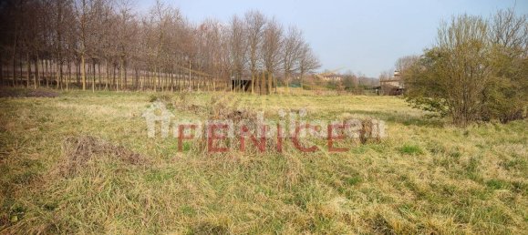 8695m² Land in Giavera del Montello, Italy No. 323470 17