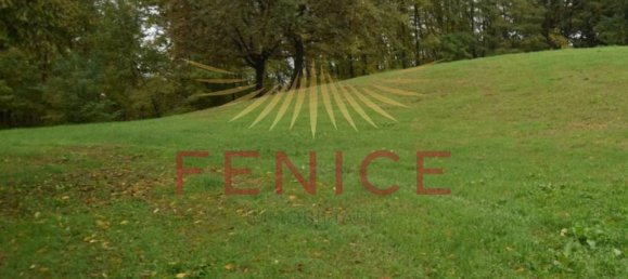 8695m² Land in Giavera del Montello, Italy No. 323470 3