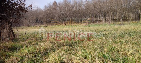 8695m² Land in Giavera del Montello, Italy No. 323470 15