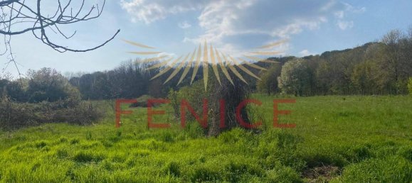 8695m² Land in Giavera del Montello, Italy No. 323470 10