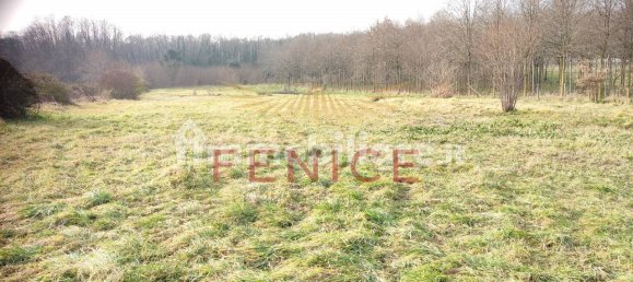 8695m² Land in Giavera del Montello, Italy No. 323470 35