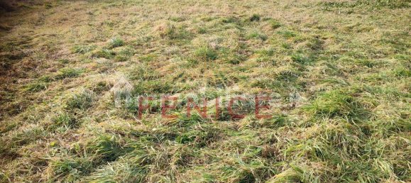 8695m² Land in Giavera del Montello, Italy No. 323470 30