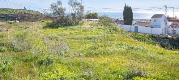 Земельный участок в Альмайяте, Испания № 179753 3