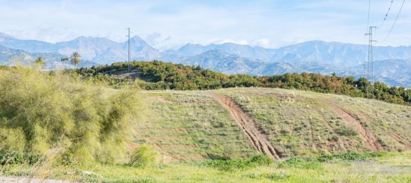 Земельный участок в Альмайяте, Испания № 179753 13