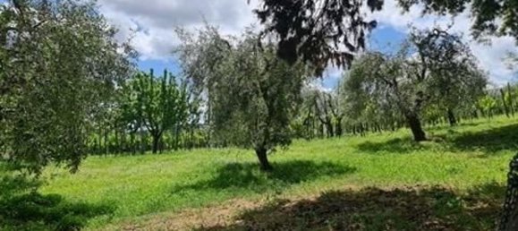 10 rooms House in San Gimignano, Italy No. 195466 4