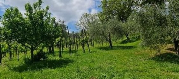 10 rooms House in San Gimignano, Italy No. 195466 12