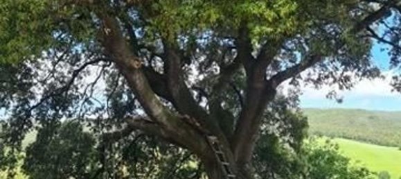 10 rooms House in San Gimignano, Italy No. 195466 5