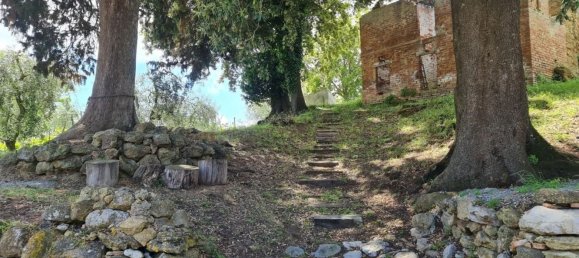 10 rooms House in San Gimignano, Italy No. 195466 23