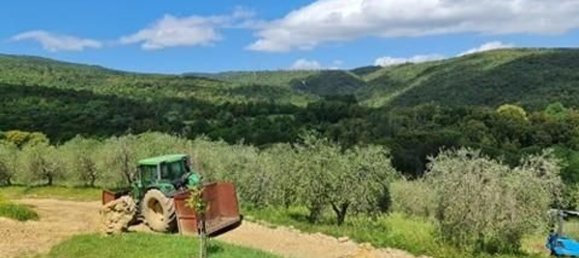 10 rooms House in San Gimignano, Italy No. 195466 10