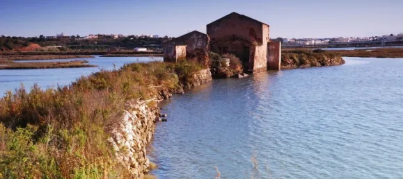 قطعة أرض في Lagoa, Portugal 150متر مربع رقم 66849 12