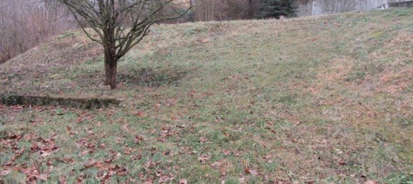 Вилла с 6 комнатами в Кальтенлойтгебен, Австрия № 188660 16