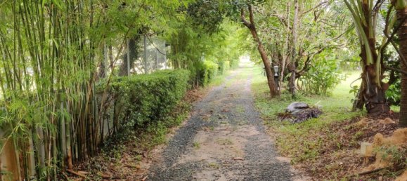 7 bedrooms House in Ubon Ratchathani, Thailand No. 70957 19