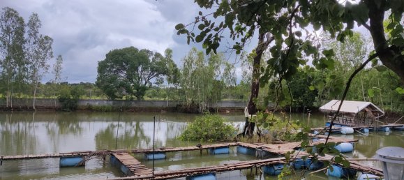 7 bedrooms House in Ubon Ratchathani, Thailand No. 70957 6