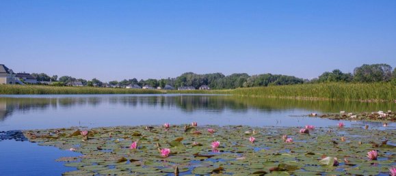 843m² Land in Ebreichsdorf, Austria No. 161152 6