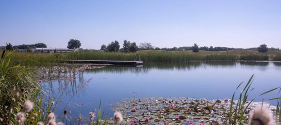 843m² Land in Ebreichsdorf, Austria No. 161152 10