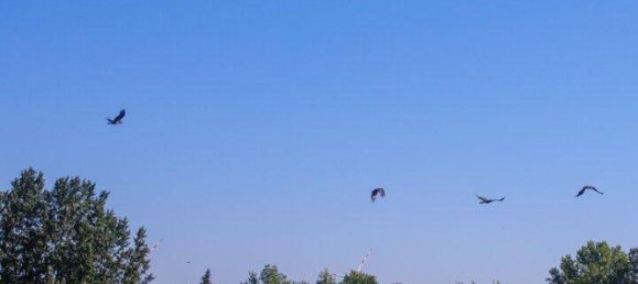 843m² Land in Ebreichsdorf, Austria No. 161152 12