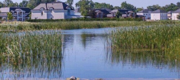 843m² Land in Ebreichsdorf, Austria No. 161152 8