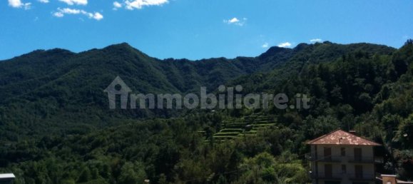 Villa de 3 dormitorios en Cicagna, Italy No. 138474 11