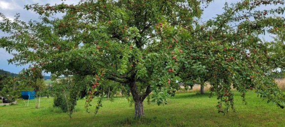 Grundstück in Calw, Germany, Nr. 237104 2