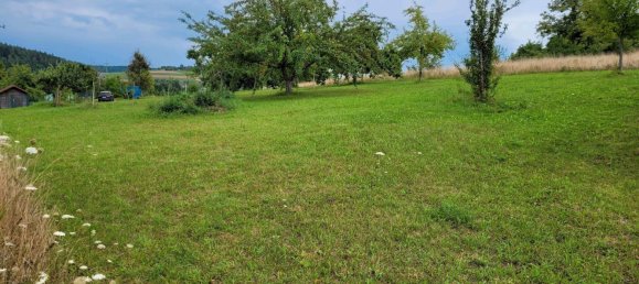 Grundstück in Calw, Germany, Nr. 237104 13