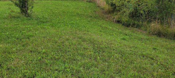 Grundstück in Calw, Germany, Nr. 237104 9