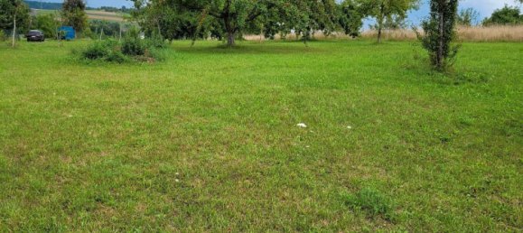 Grundstück in Calw, Germany, Nr. 237104 10