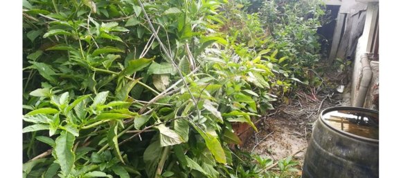 Casa de 2 dormitorios en Sao Joao do Campo, Portugal No. 34619 4