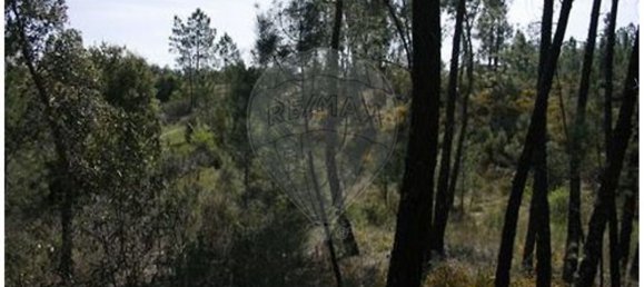 1 bedroom House in Castelo Branco, Portugal No. 175608 22