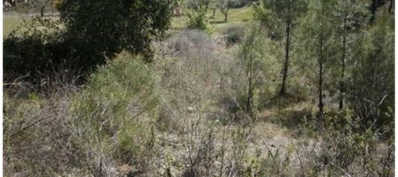 1 bedroom House in Castelo Branco, Portugal No. 175608 21