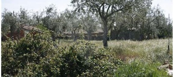 1 bedroom House in Castelo Branco, Portugal No. 175608 18