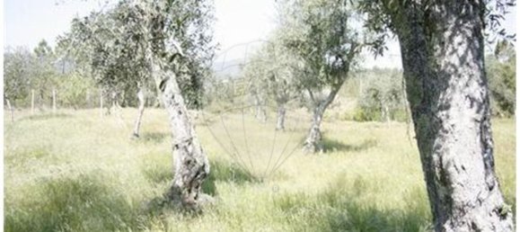 1 bedroom House in Castelo Branco, Portugal No. 175608 14