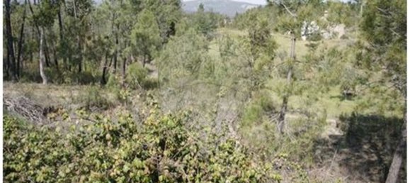 1 bedroom House in Castelo Branco, Portugal No. 175608 17