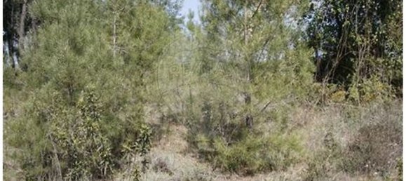 1 bedroom House in Castelo Branco, Portugal No. 175608 20