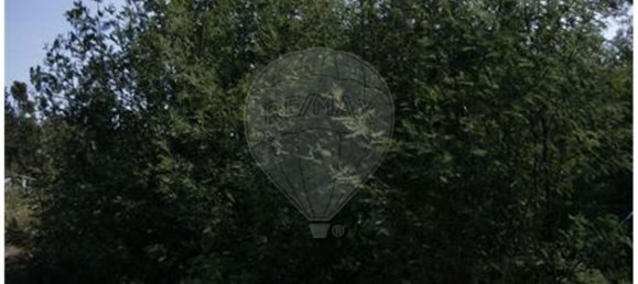 1 bedroom House in Castelo Branco, Portugal No. 175608 23