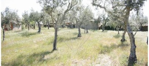 1 bedroom House in Castelo Branco, Portugal No. 175608 15