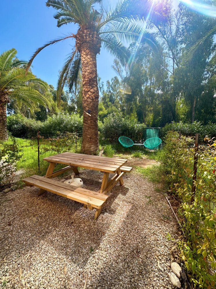 Studio in Calvi, France, Nr. 233976