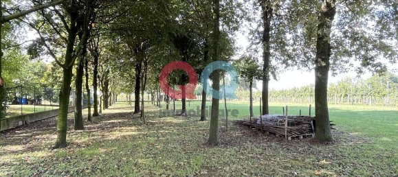 Casa T4 em Portogruaro, Italy N.º 346275 28