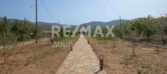 5 bedrooms Commercial property in Koropi, Greece No. 8638 18